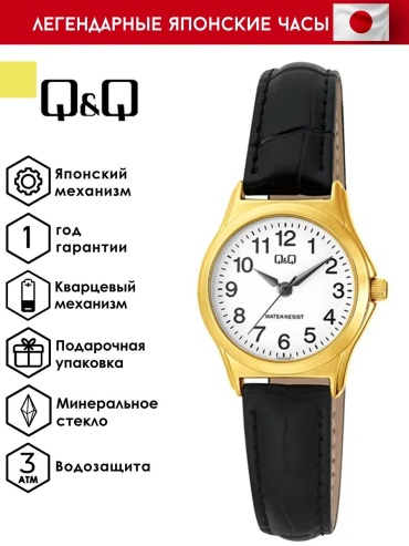 Кварцевые Q&Q C07A-004PY сталь