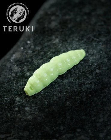Мягкая приманка TERUKI PTS-C-117 12 шт 28 мм