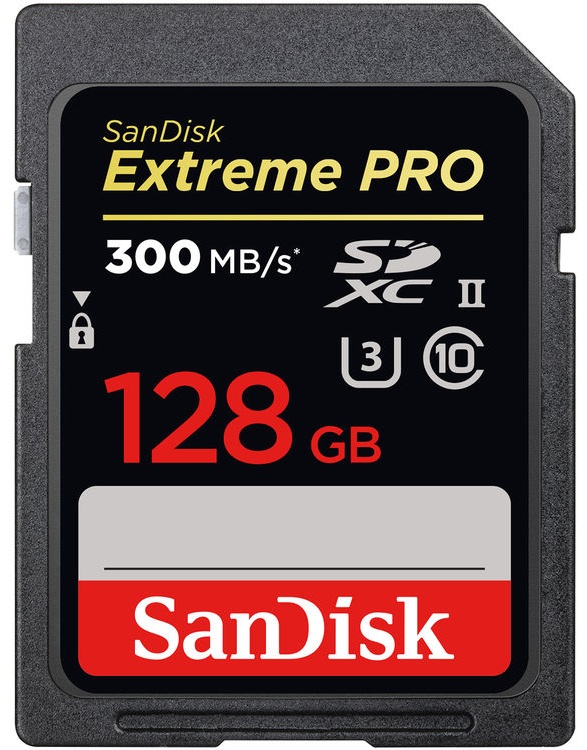 Карта памяти SanDisk Secure Digital XC SDSDXDK-128G-GN4IN 128 Гб