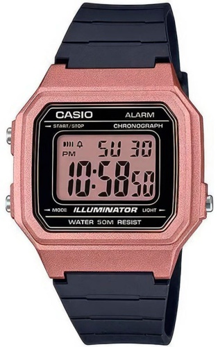 Кварцевые CASIO W-217HM-5AVDF пластик