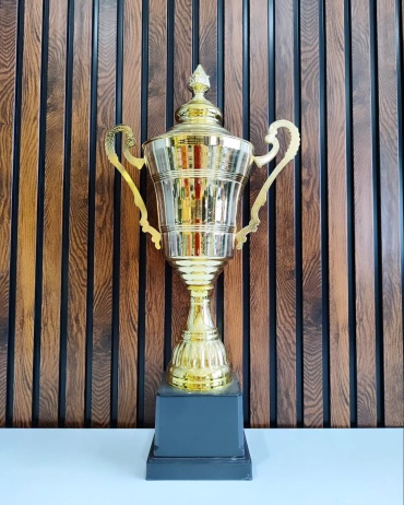 Golden Cup кубок "Стоун С"