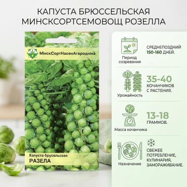 МинскСортСемОвощ капуста брюссельская Розелла