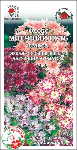 Золотая сотка Алтая флокс Млечный путь Смесь