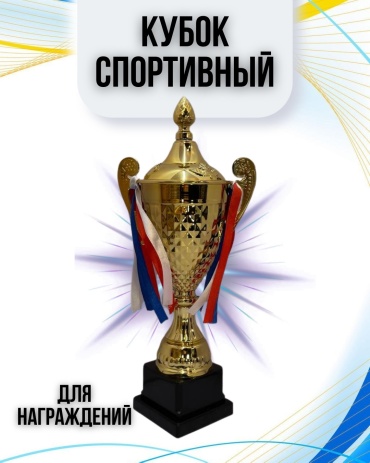 Кубок Кубок спортивный для награждения