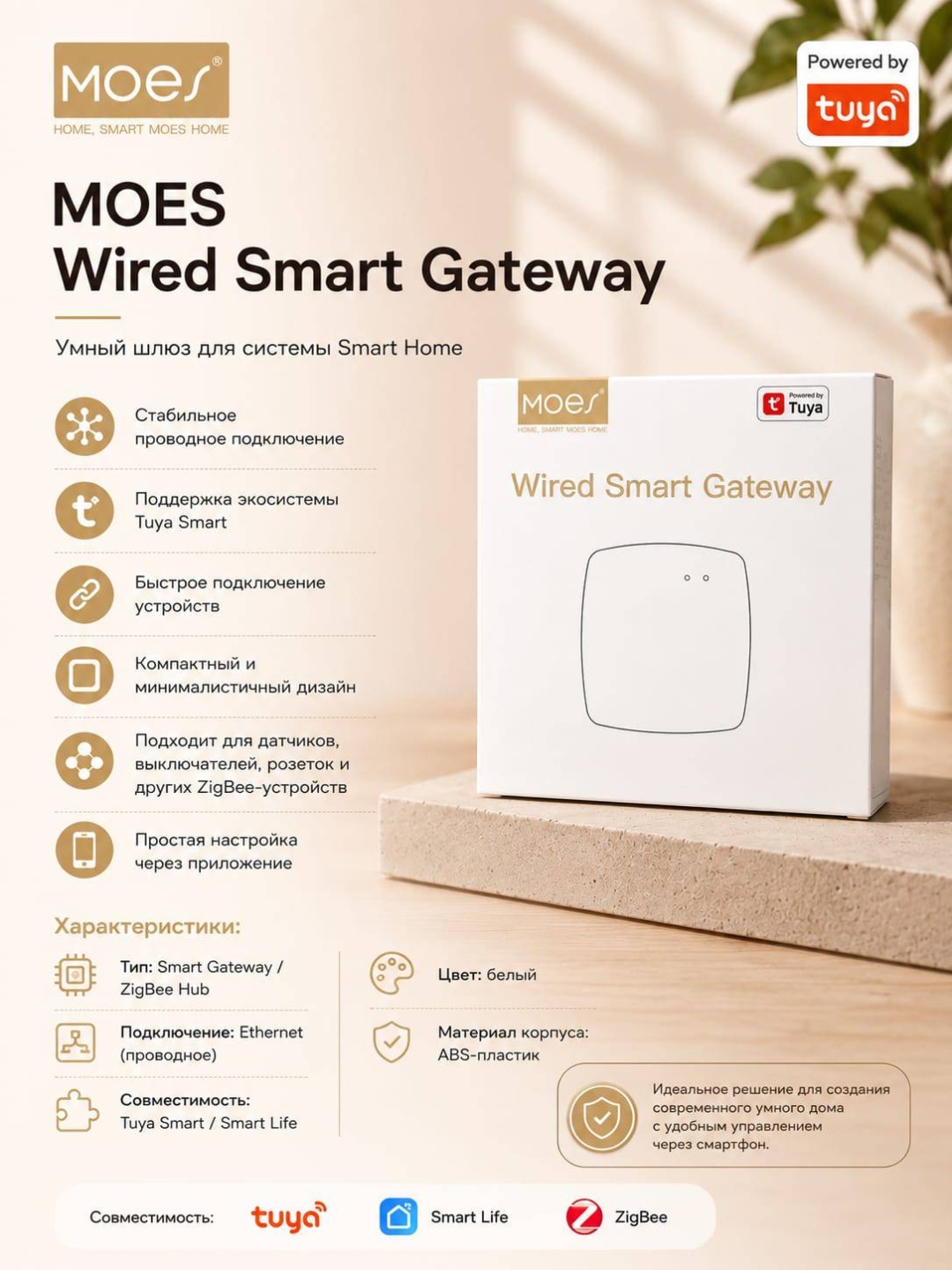 MOES центр управления ZHUB
