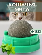 Лакомство DarSilina кошачья мята трава 15 г 1 шт