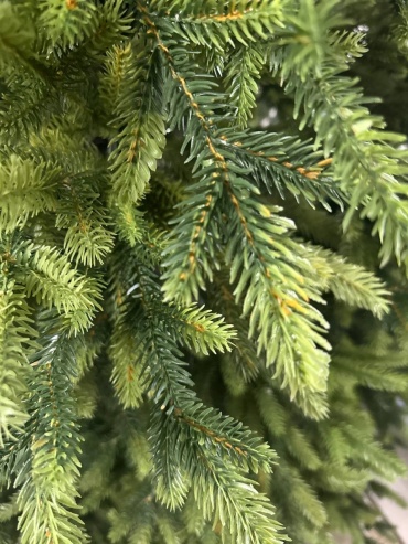 Фото 6