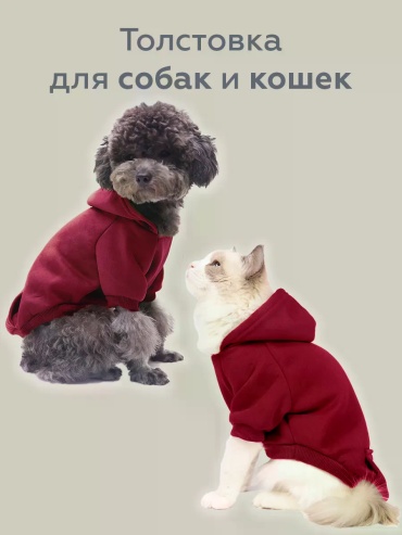 Толстовка 105309560 бордовый S