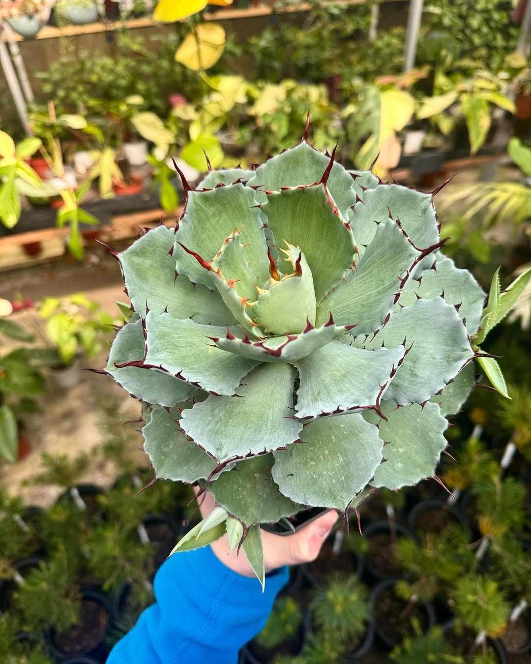 Фото 2
