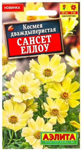 Аэлита космея Сансет еллоу