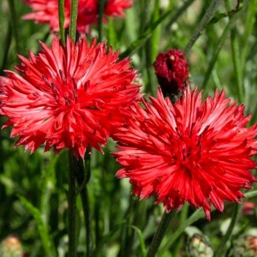 Фото 2
