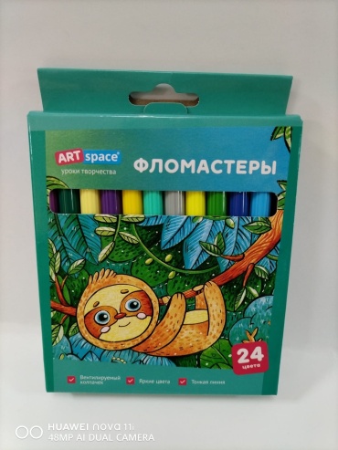 Фломастер Art Space 24 шт