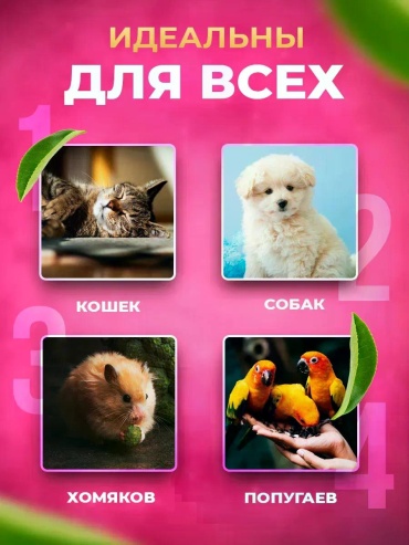 Фото 3