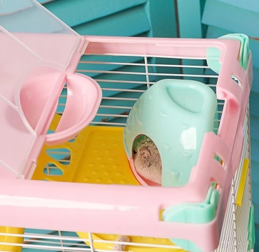 Фото 4