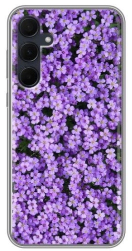 Чехол для Samsung Galaxy A35 рисунок