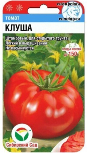 Сибирский сад помидор КЛУША