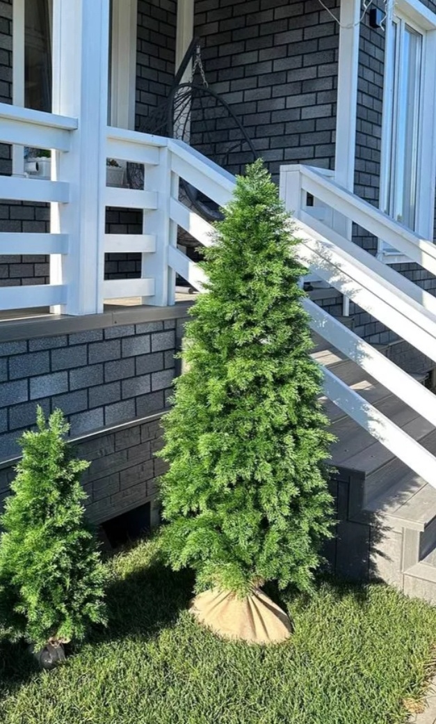 Фото 2