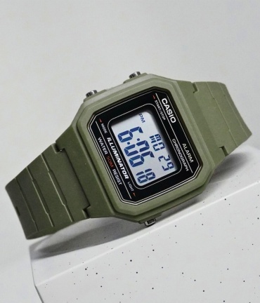 Кварцевые CASIO Watch2917H-3Original полимерный пластик