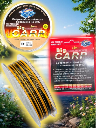 Леска TAIFUN монофильная Taifun Леска Big CARP 0.50mm 100 метров 0.5 мм черный, оранжевый