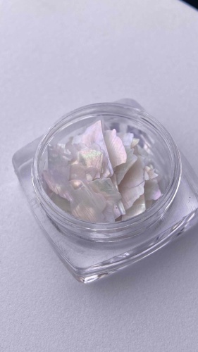 Lilu ракушечник Shell decor 04 1 шт