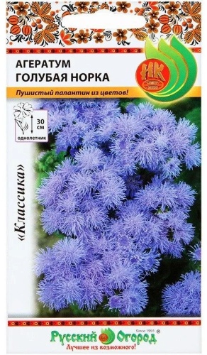 Русский огород агератум Голубая Норка