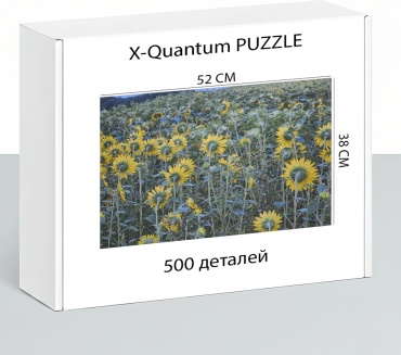 X-Quantum puzzle_yhk2rkz58i классический 500 деталей