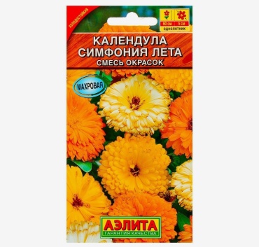 Аэлита календулы Симфония лета