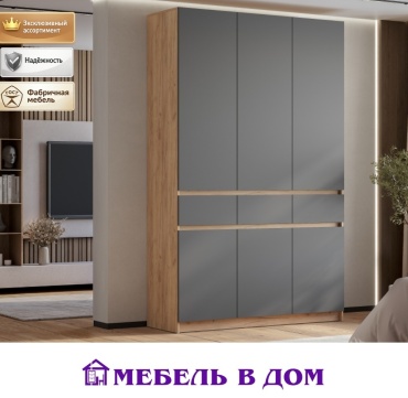 Распашной шкаф Мебель в Дом Багира, 150.2x238.4х51 см, бежевый, графит