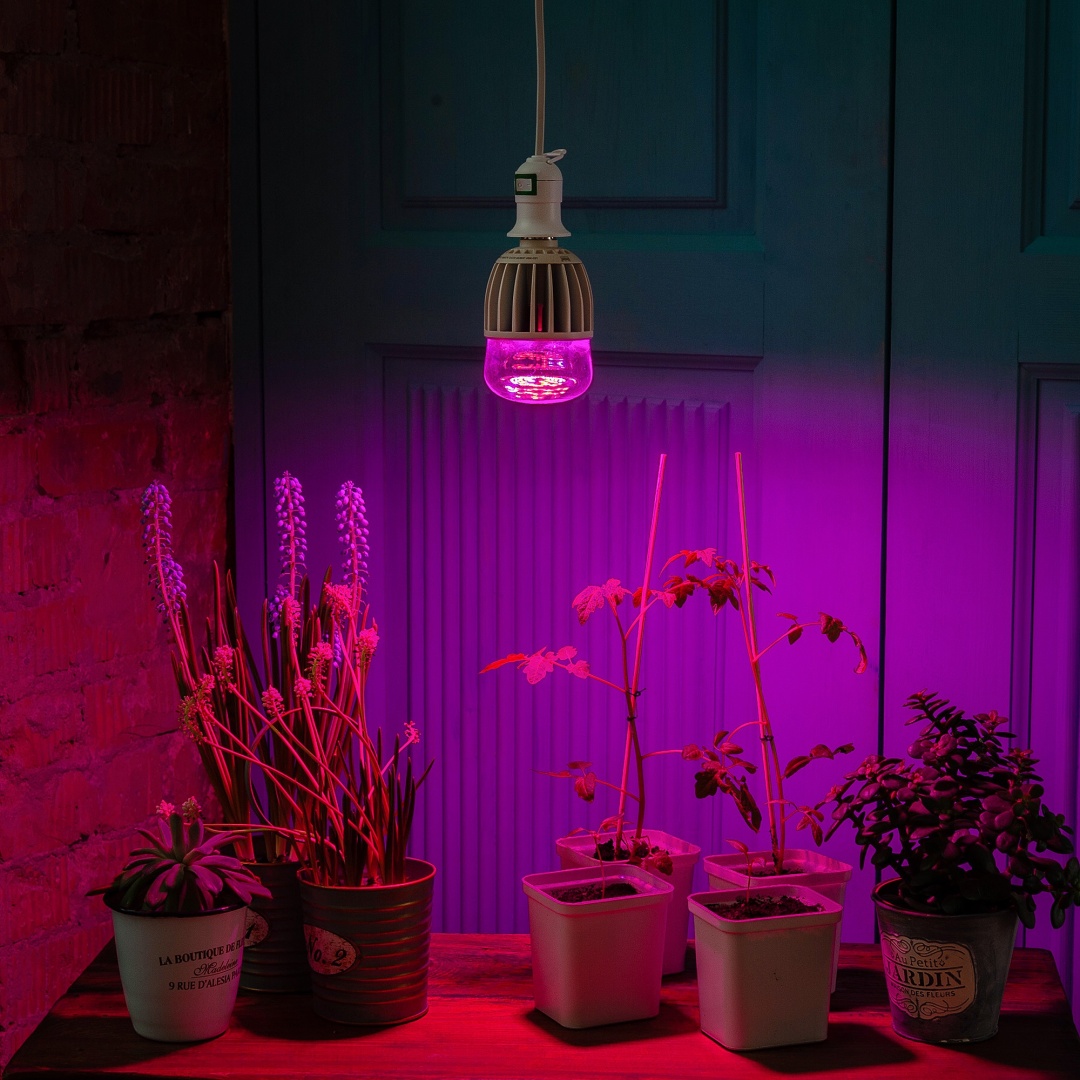 Светодиодная Uniel LED-M80-20W-SP-E27-CL ALS55WH 20 Вт, 0 К