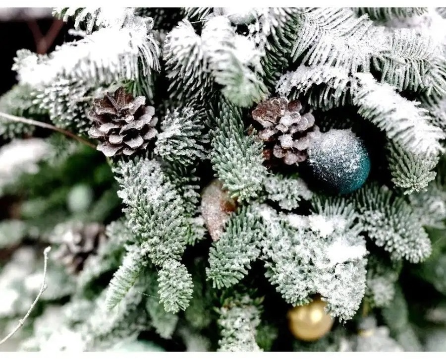 Фото 3