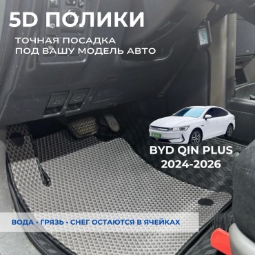 30458028_351676968 BYD Qin Plus 2024-2026 серый, черный