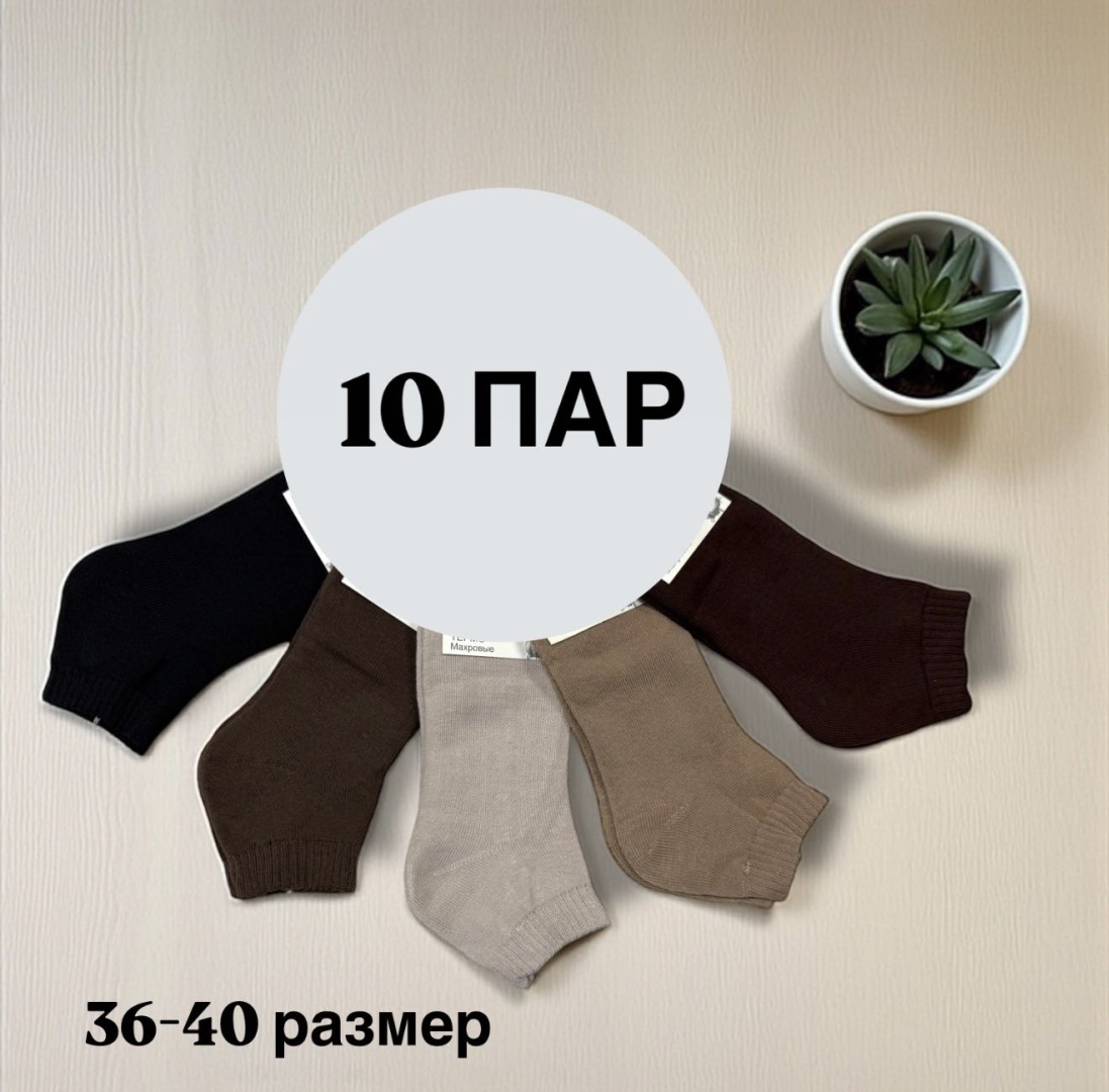 Носки SPEED WIN 10 пар коричневый, бежевый 36-40