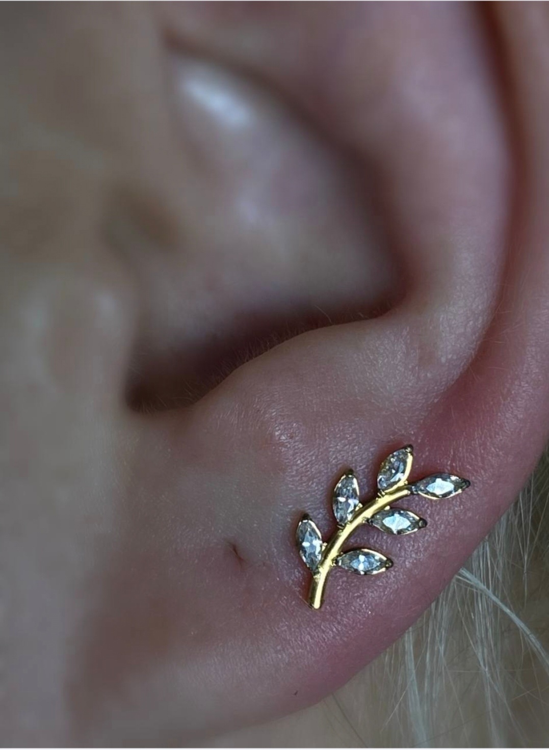 Фото 6