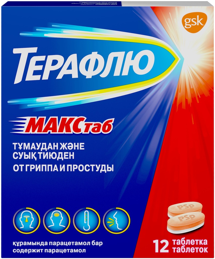 ТЕРАФЛЮ МАКСТАБ N12 таб