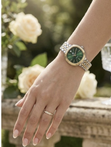 Кварцевые Beverly Hills Polo Club BP3903C.270 нержавеющая сталь