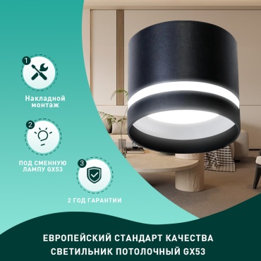 Светильник потолочный Radar GX53 20 Вт черный