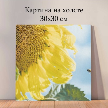 Quantum картина Растения и цветы 30x30 см