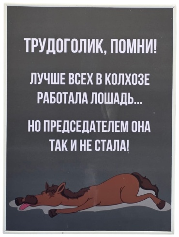 Sanalikz панно Трудоголик, помни! 30x40 см