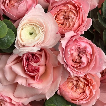 Фото 2