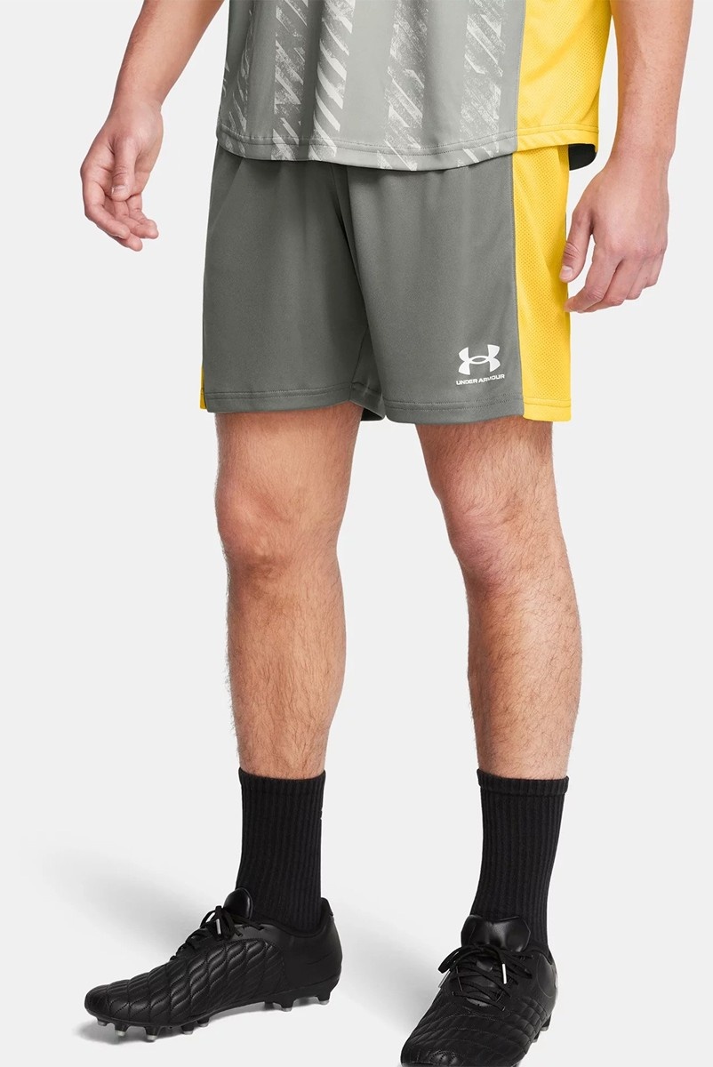Повседневные шорты Under Armour серый