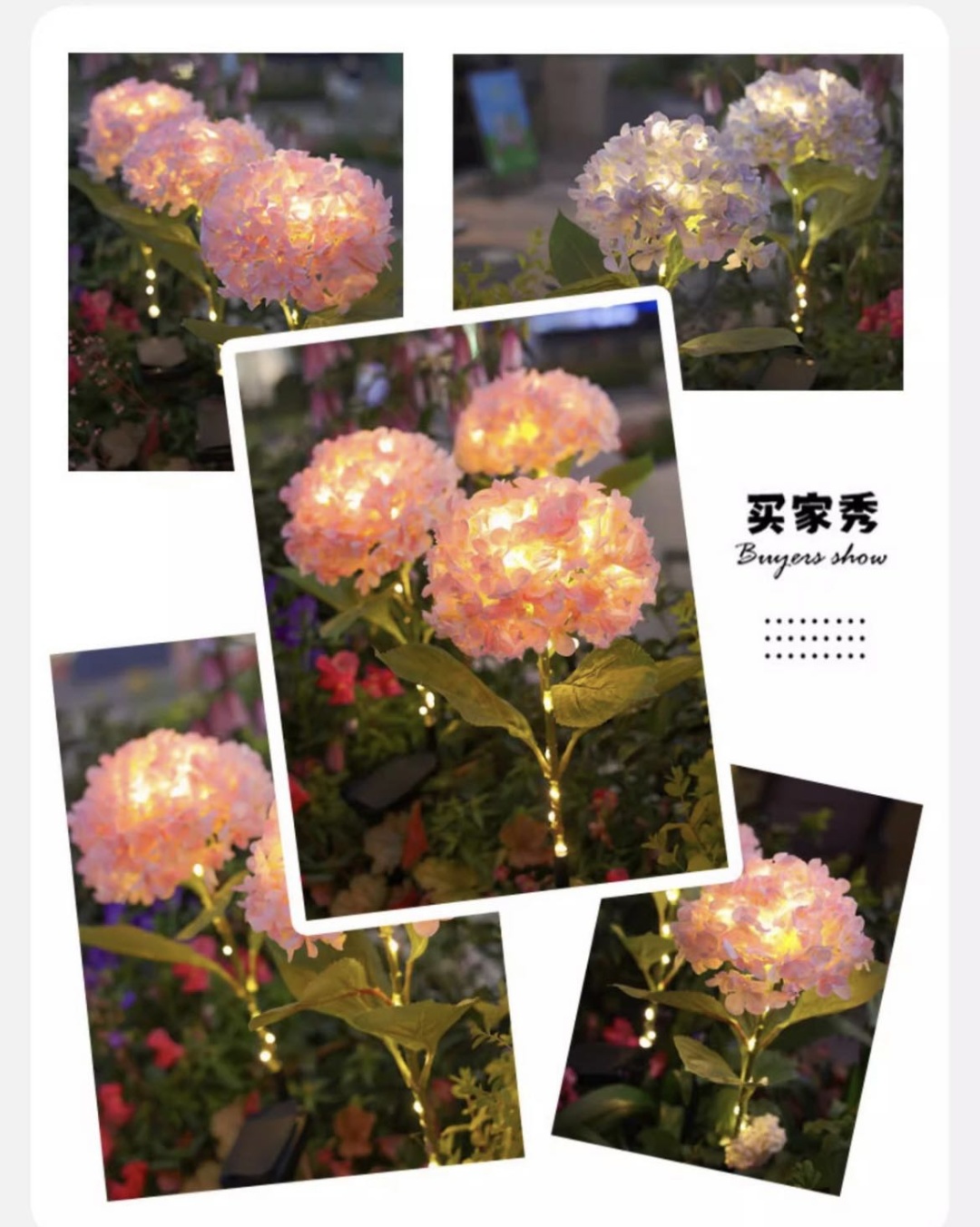 Фото 2