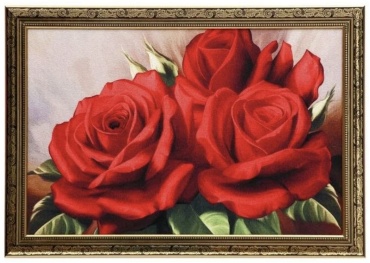 Розы 40x50 см
