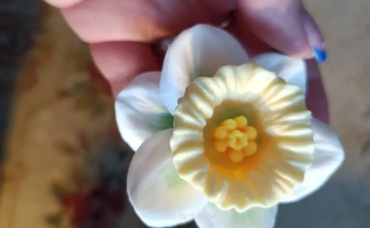 Фото 6