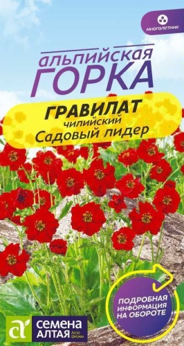 Семена Алтая гравилат Чилийский.Садовый Лидер