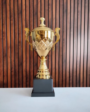 Golden Cup кубок "Викинг С"