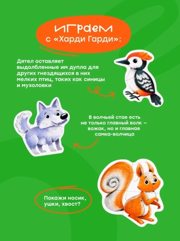 Фото 12