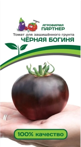 Помидор Черная богиня