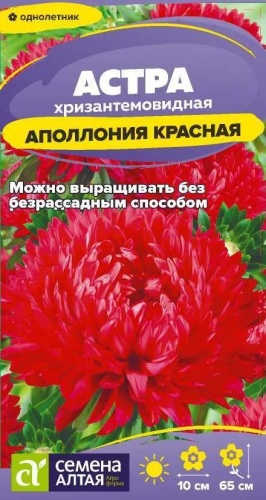 Семена Алтая астра Аполлония Красная