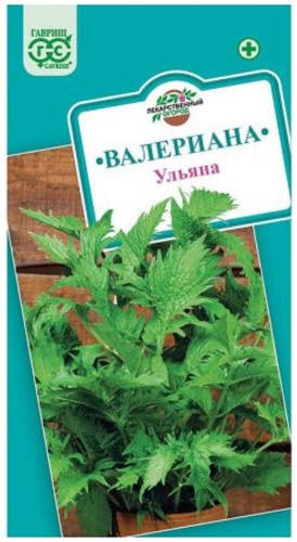 Гавриш валериана Ульяна