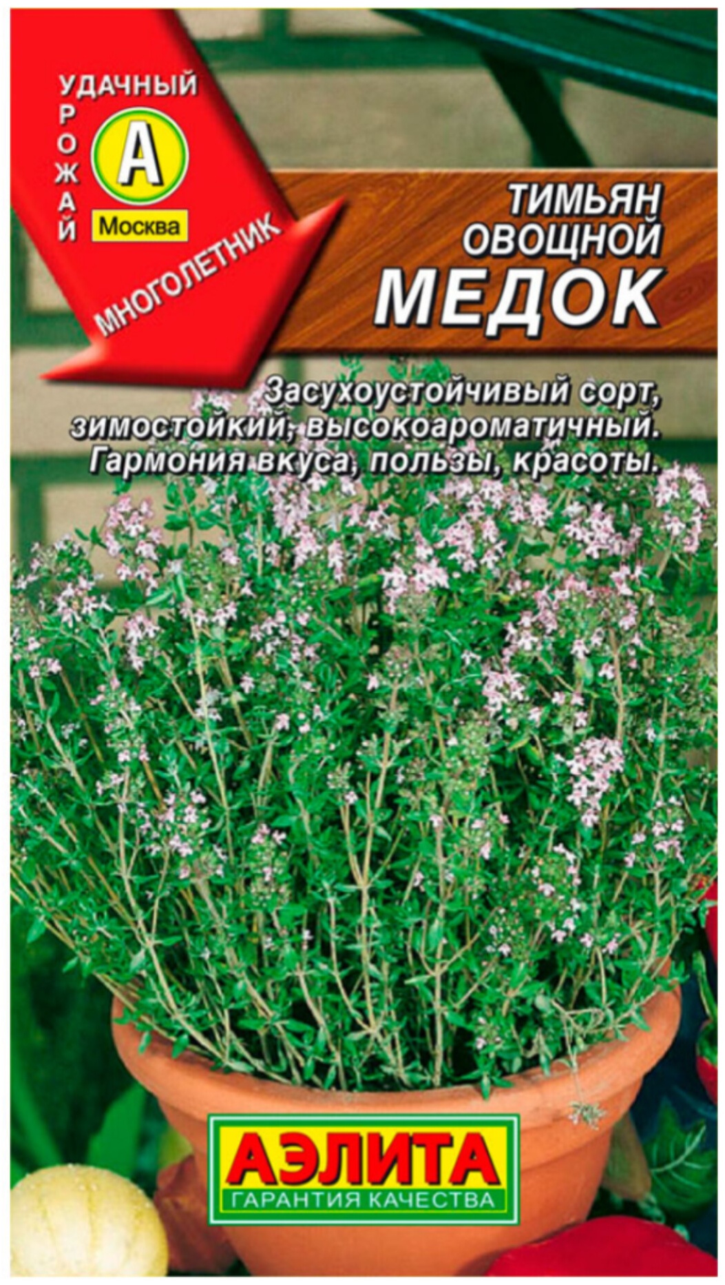 Аэлита тимьян Медок